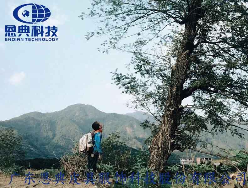  我与双肩书包的故事