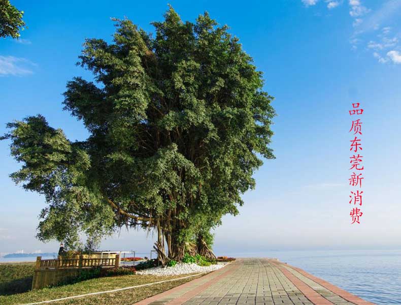 你知道“品质东莞新消费”吗？