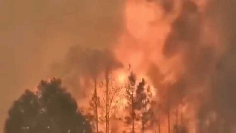 箱包工厂,四川凉山大火灾,箱包厂家,礼品背包订做,双肩背包