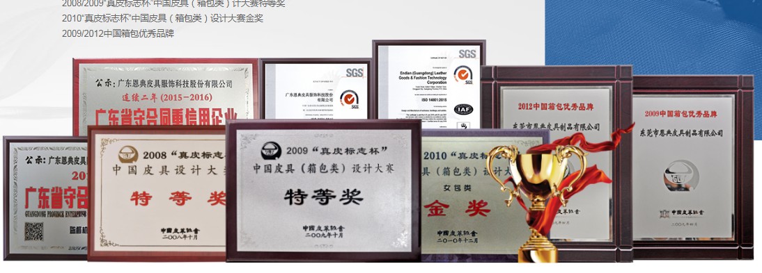 定做双肩包,东升国际科技,定制双肩包,广东双肩包生产厂