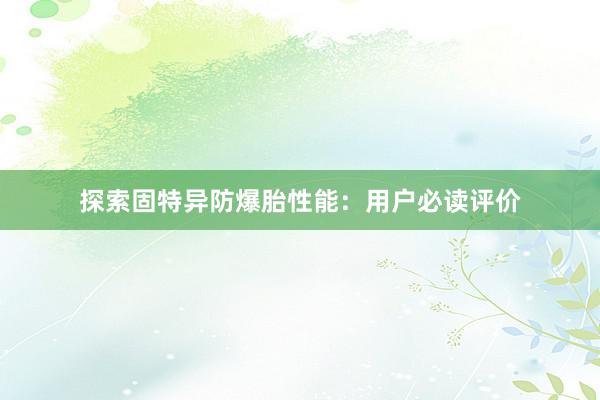 探索固特异防爆胎性能：用户必读评价